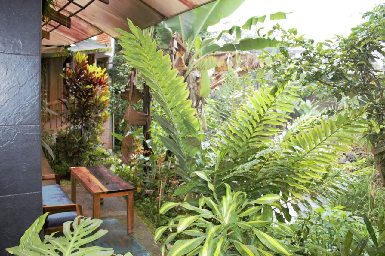 Hostal Zafiro מינדו מראה חיצוני תמונה